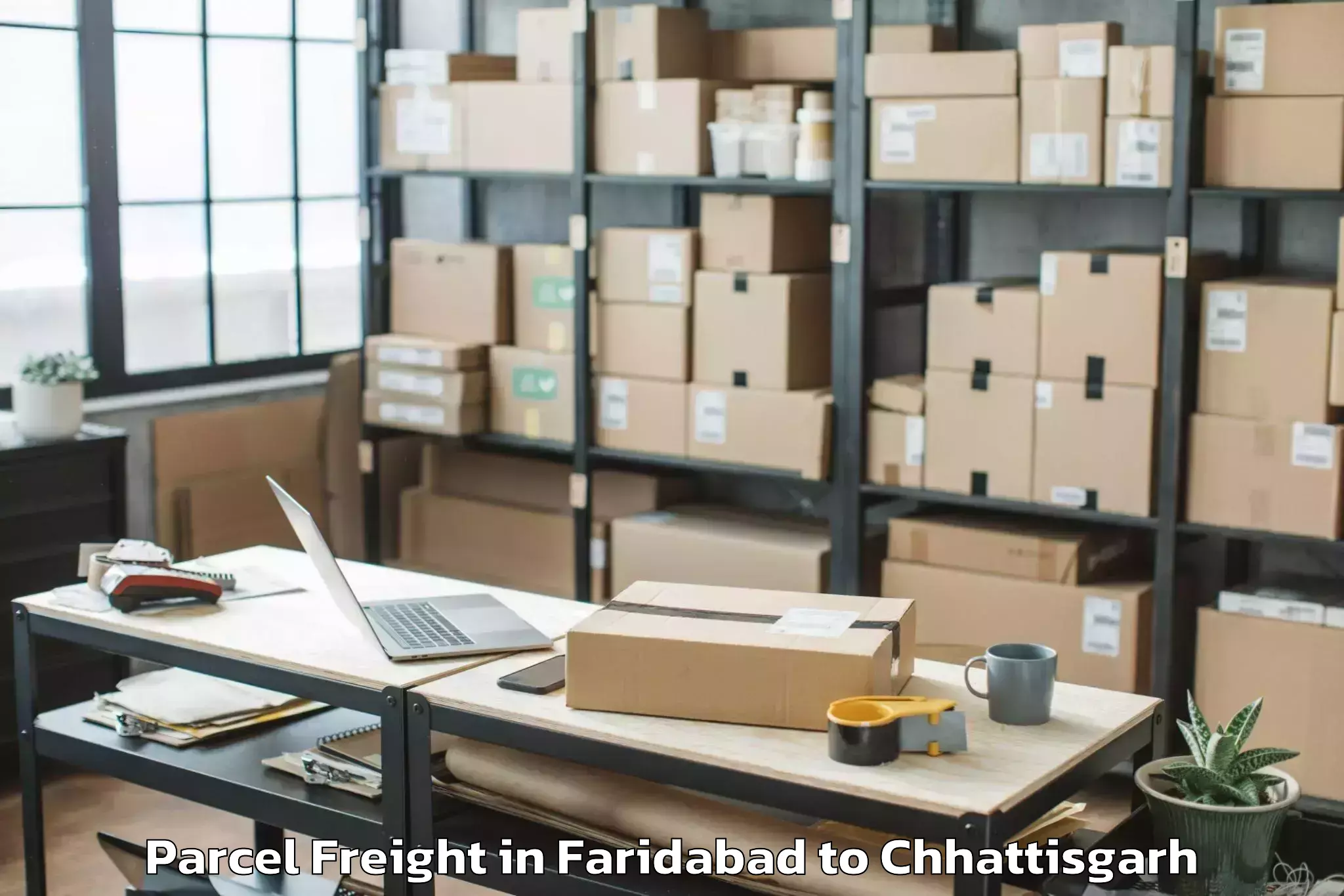 Book Faridabad to Mats University Aarang Parcel Freight